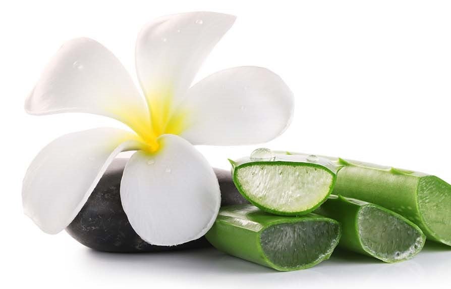 ALL ABOUT ALOE VERA