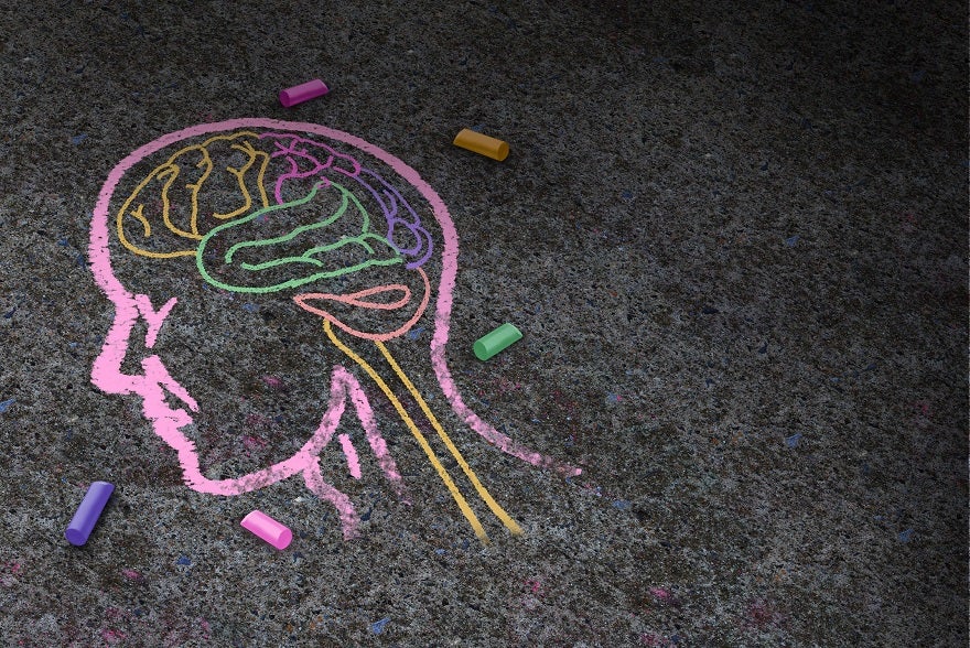 brain